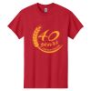 Heavy Cotton  100% Cotton T Shirt Thumbnail