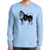 Ultra Cotton ® 100% US Cotton Long Sleeve T Shirt Thumbnail