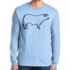 Ultra Cotton ® 100% US Cotton Long Sleeve T Shirt Thumbnail
