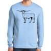 Ultra Cotton ® 100% US Cotton Long Sleeve T Shirt Thumbnail
