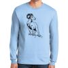 Ultra Cotton ® 100% US Cotton Long Sleeve T Shirt Thumbnail