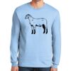 Ultra Cotton ® 100% US Cotton Long Sleeve T Shirt Thumbnail