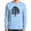 Ultra Cotton ® 100% US Cotton Long Sleeve T Shirt Thumbnail